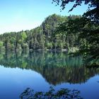 Alatsee bei Füssen im Mai