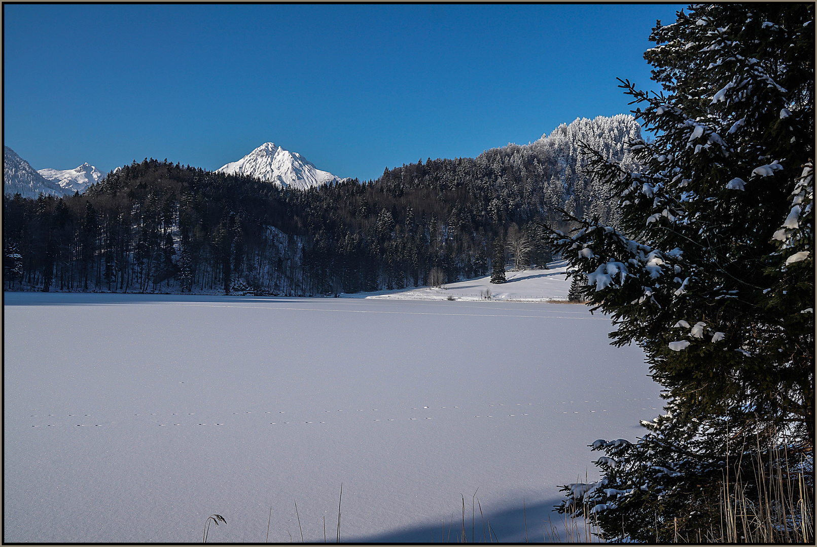  Alatsee / Ostallgäu mit Rosskopf