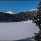  Alatsee / Ostallgäu mit Rosskopf