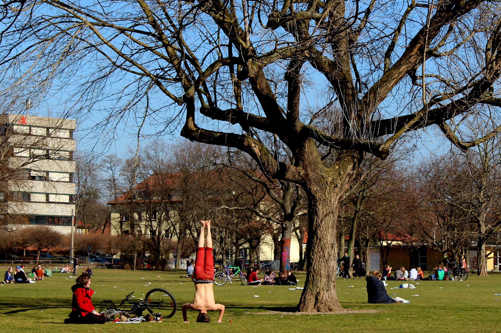 Alaunpark Dresden gestern Mittag