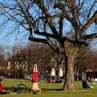 Alaunpark Dresden gestern Mittag