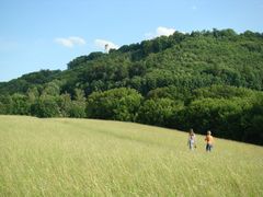 Alb bei Pfullingen