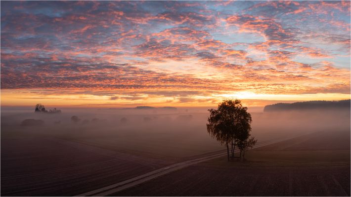 Alb im Morgenmodus – einmal alles, bitte!