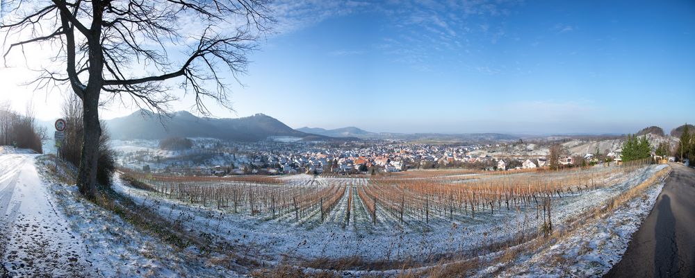 ***  ALB-PANO-MIT-BURG  ***