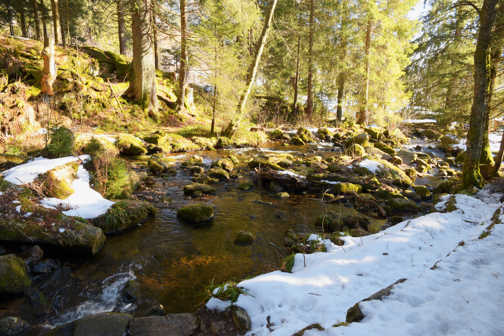 Alb Wasserfall Menzenschwand 1