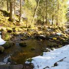 Alb Wasserfall Menzenschwand 1