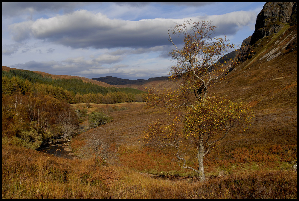 Alba #14 - Herbstlandschaft im Norden