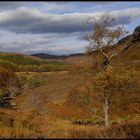 Alba #14 - Herbstlandschaft im Norden