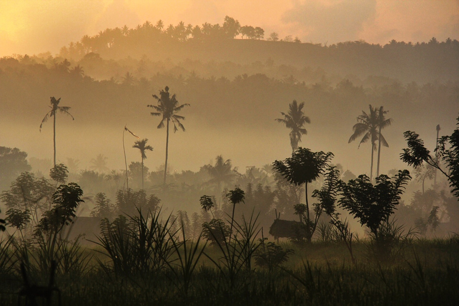 Alba a Bali