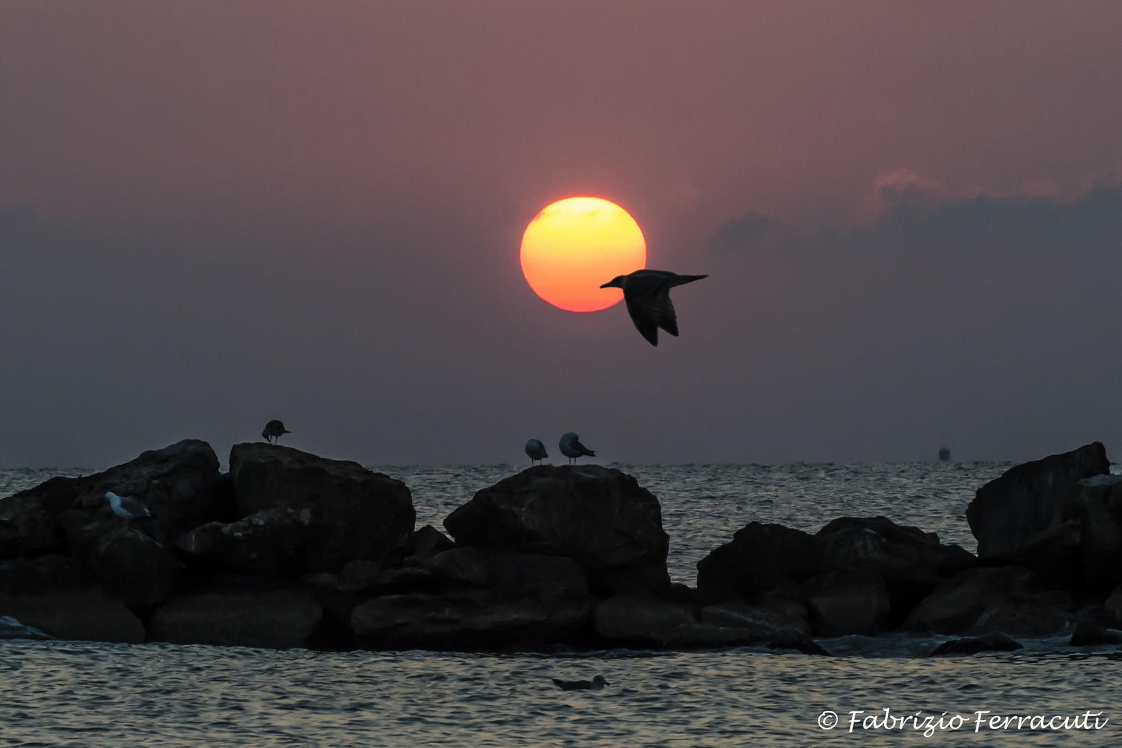 ALBA A PORTO SAN GIORGIO