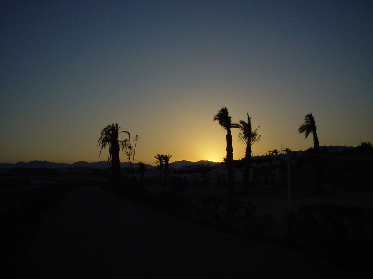 Alba a Sharm