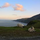 Alba a Slieve League, Irlanda.