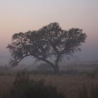 Alba a Sossusvlei.