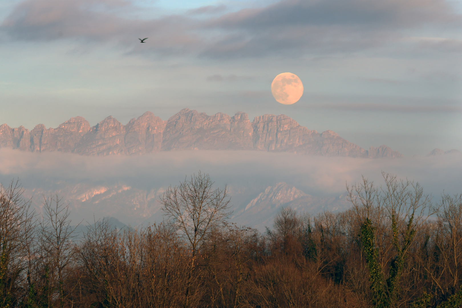 Alba al  al Tramonto ....