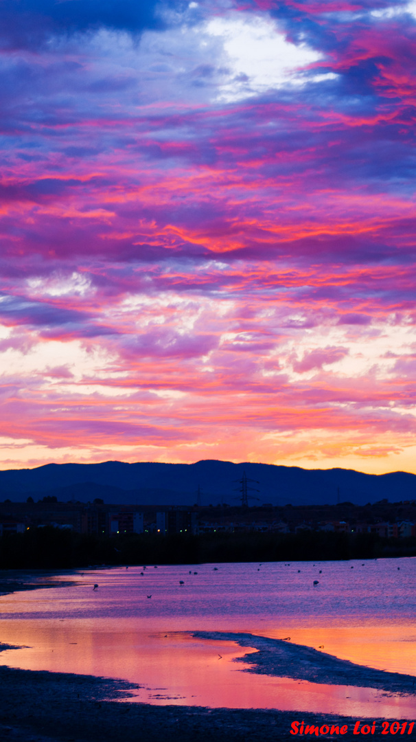 Alba alle saline 2