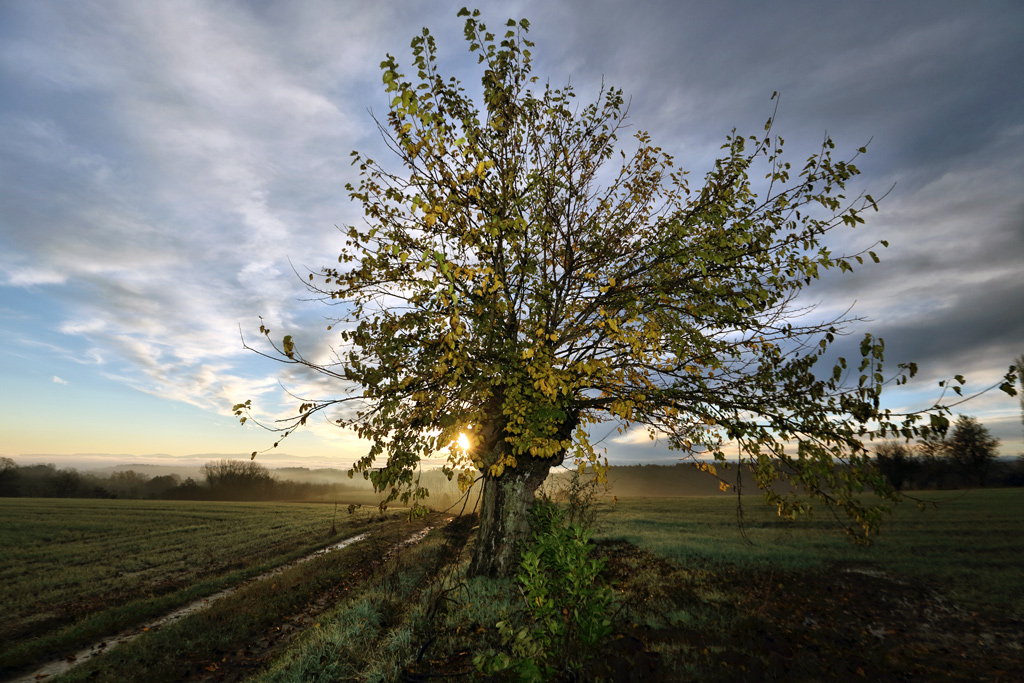 alba autunnale