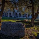 alba Colosseo