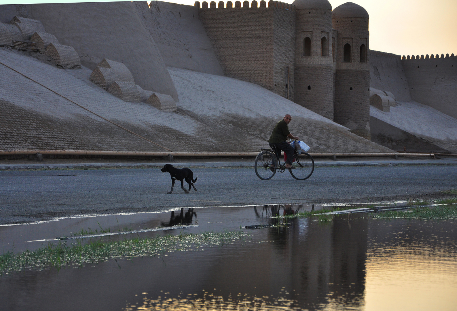 ALBA CON BICI