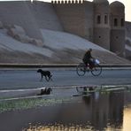 ALBA CON BICI