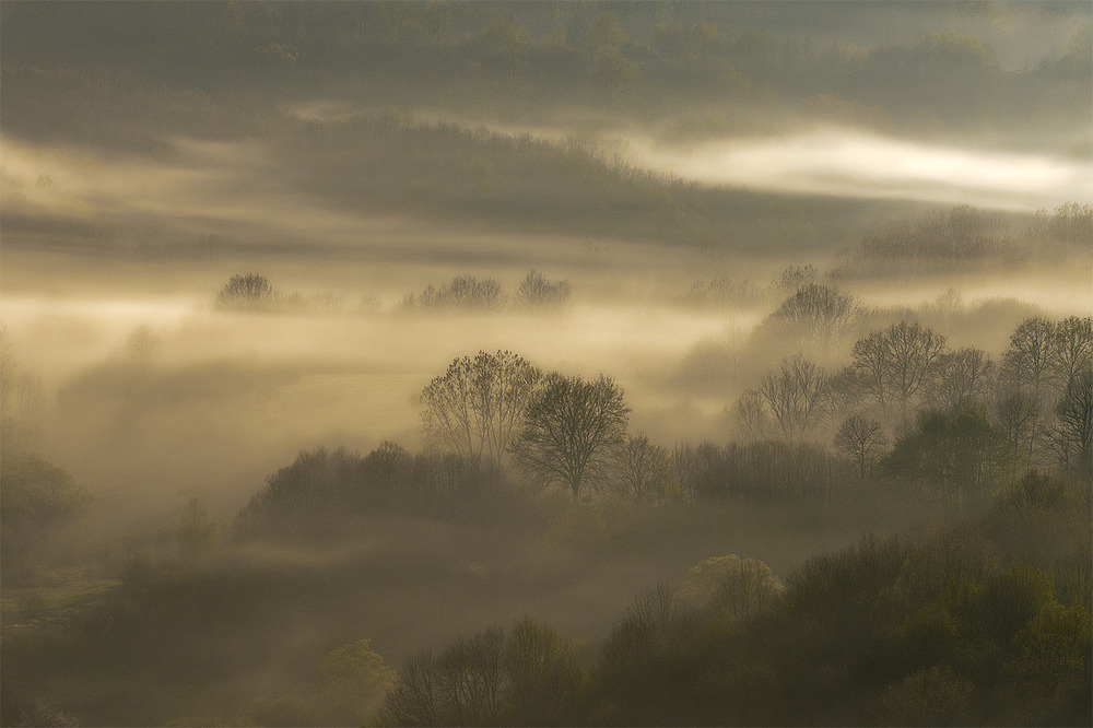 Alba con nebbia