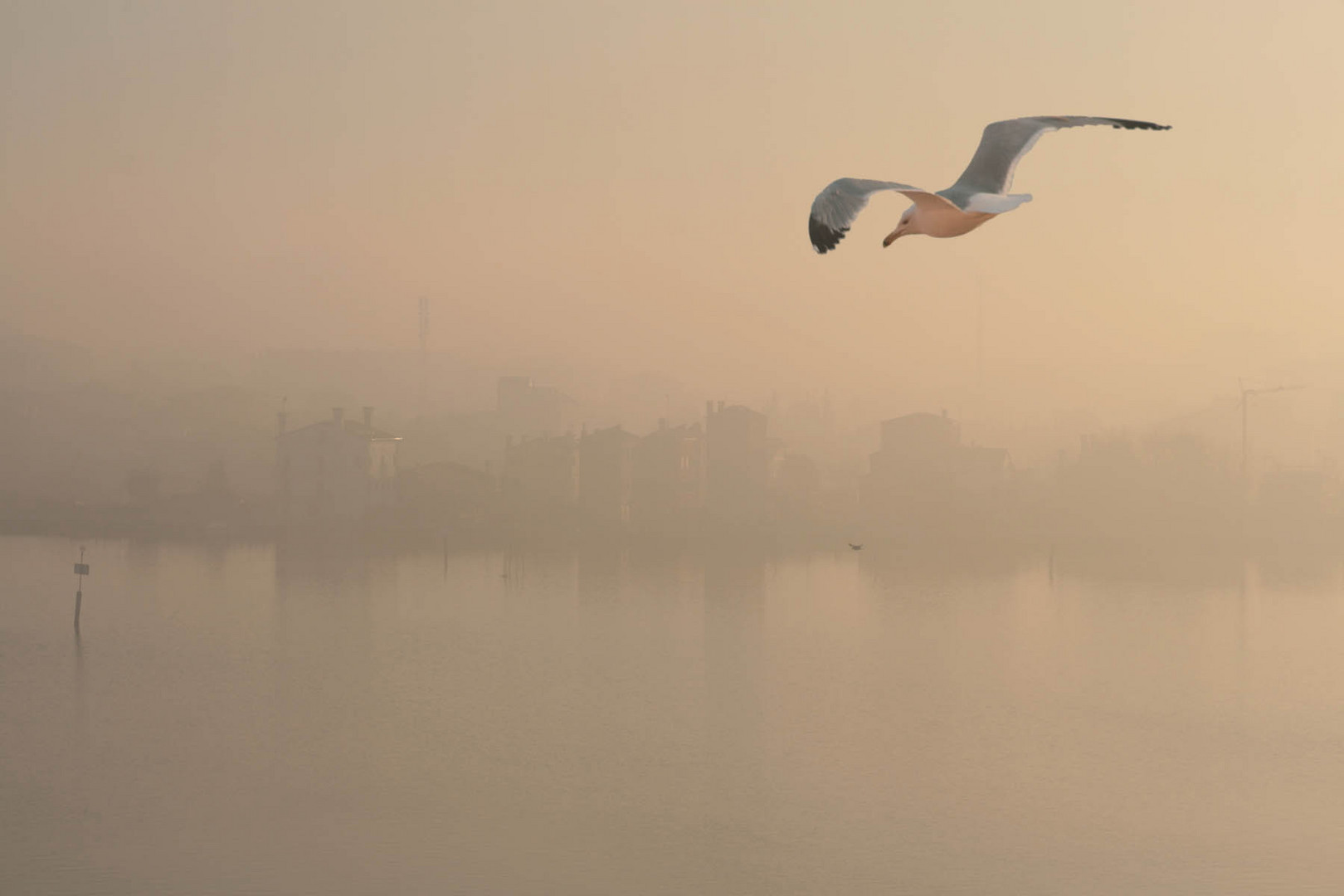 alba con nebbia sulla laguna del Lusenzo in Chioggia