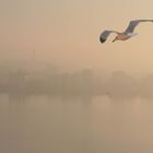 alba con nebbia sulla laguna del Lusenzo in Chioggia