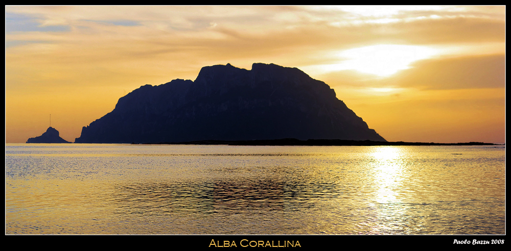 alba corallina