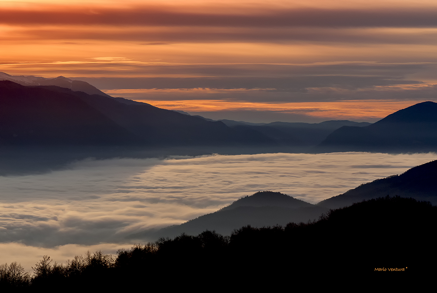 Alba dal Monte Pellecchia