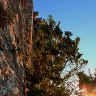 Alba dalla Rocca di Assisi
