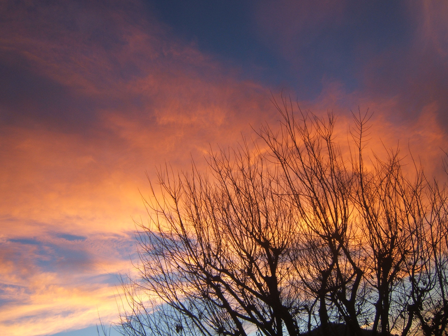 alba di fine autunno