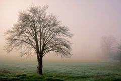 Alba di fine inverno