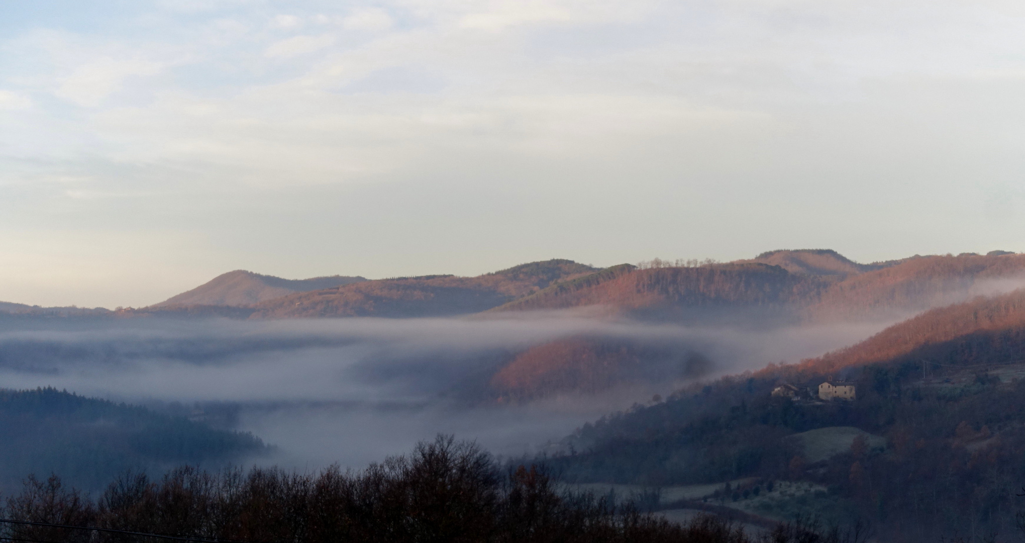 Alba di nebbia e brina