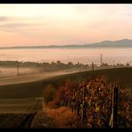 Alba di nebbia leggera 2