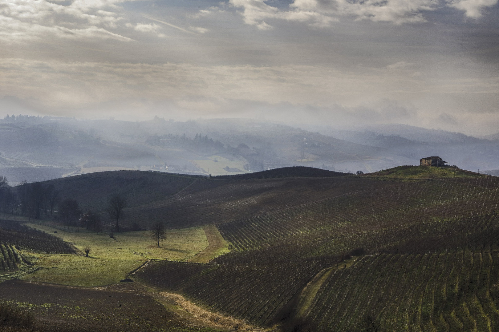 alba d'inverno (2) 