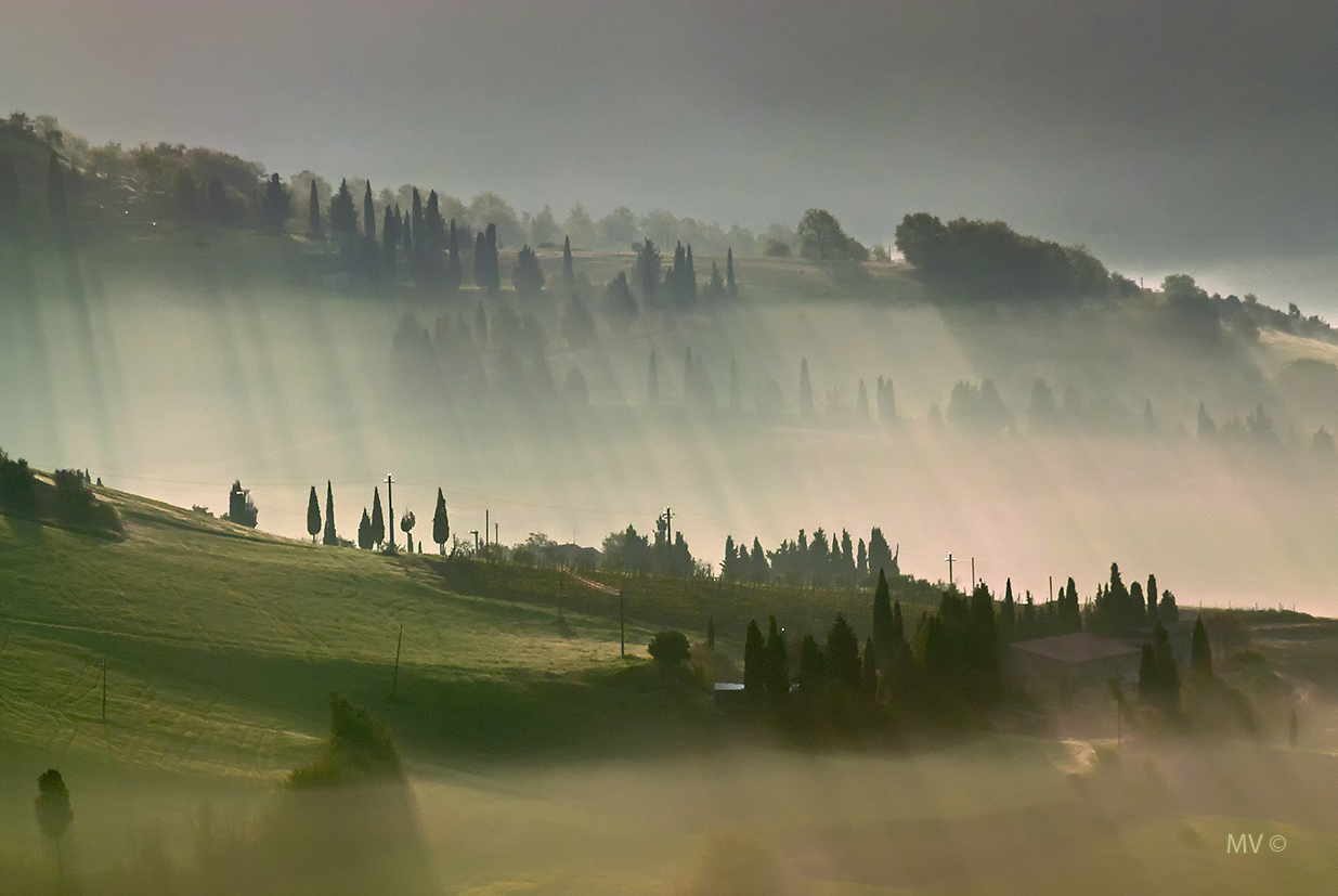 Alba dopo la veglia