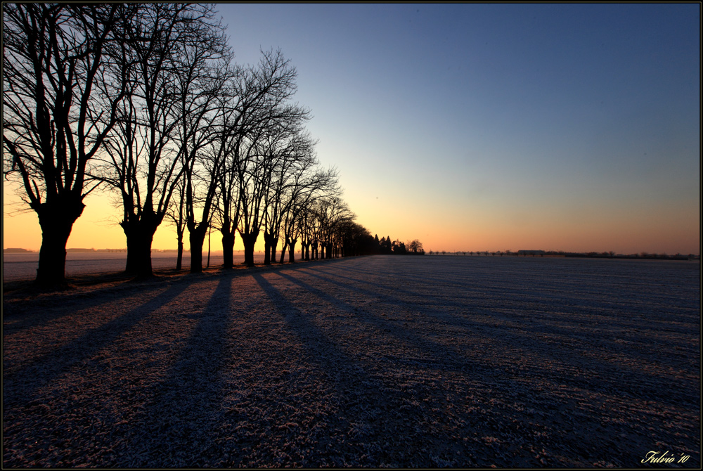 alba fredda, non troppo