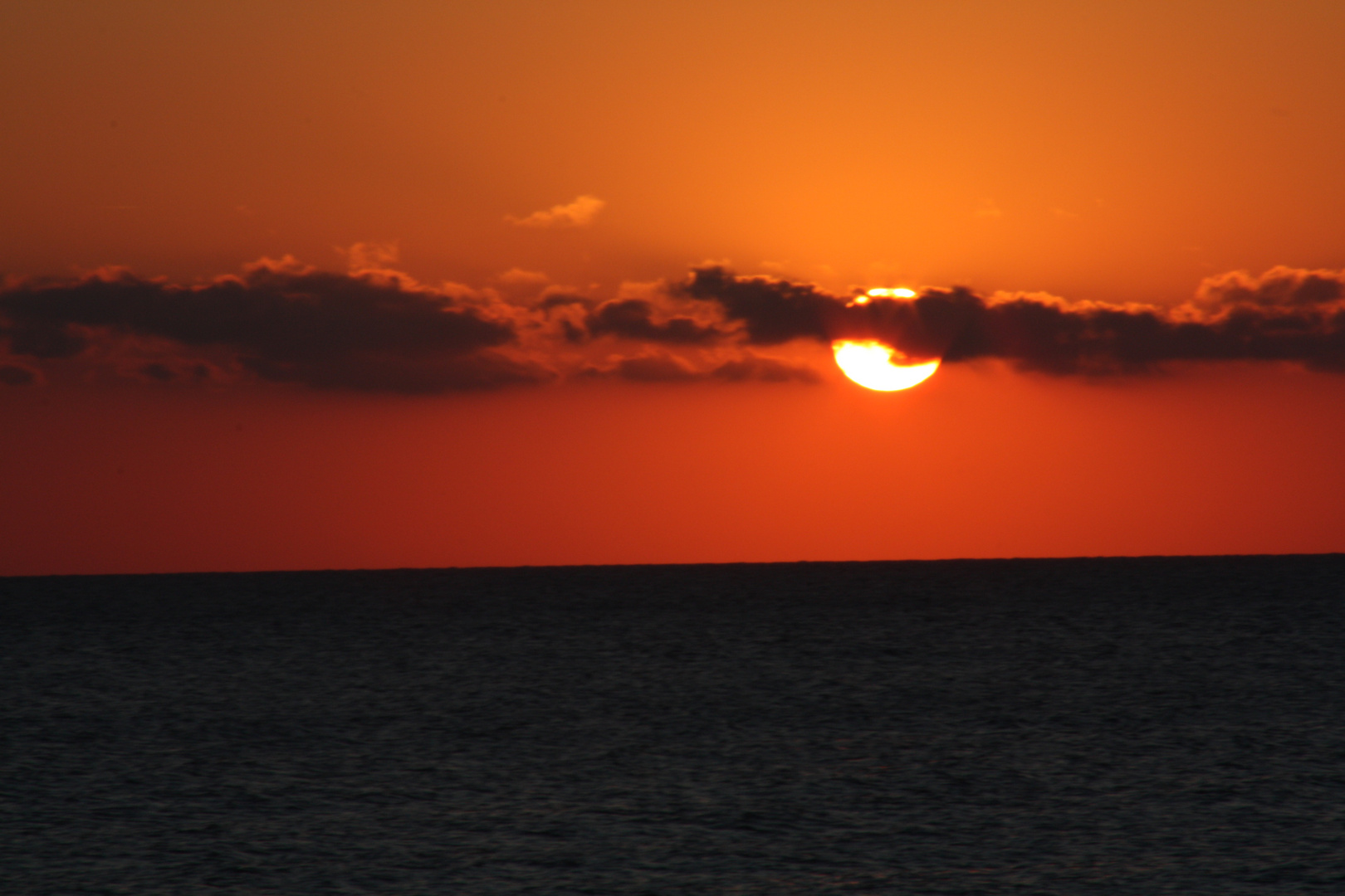 Alba (Gargano 2010)