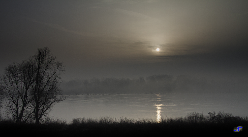 Alba grigia