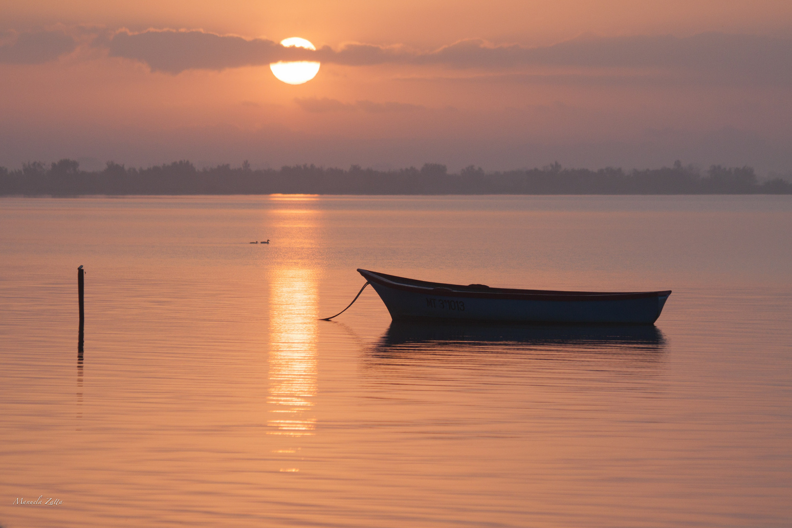 alba in Camargue