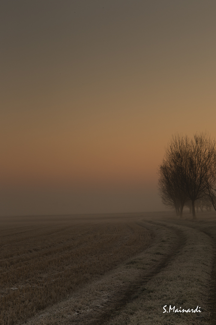 Alba in campagna 2