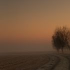 Alba in campagna 2