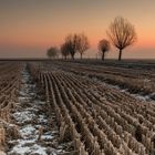 Alba in campagna