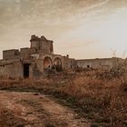 Alba in campagna Salentina