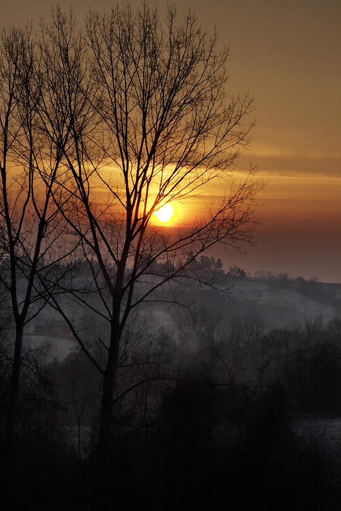 ...alba in Gennaio ...