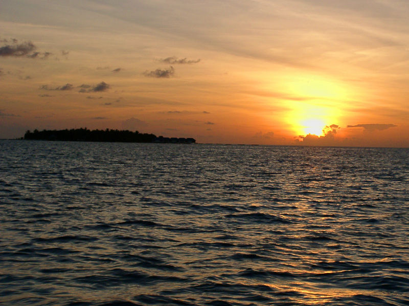 alba maldiviana