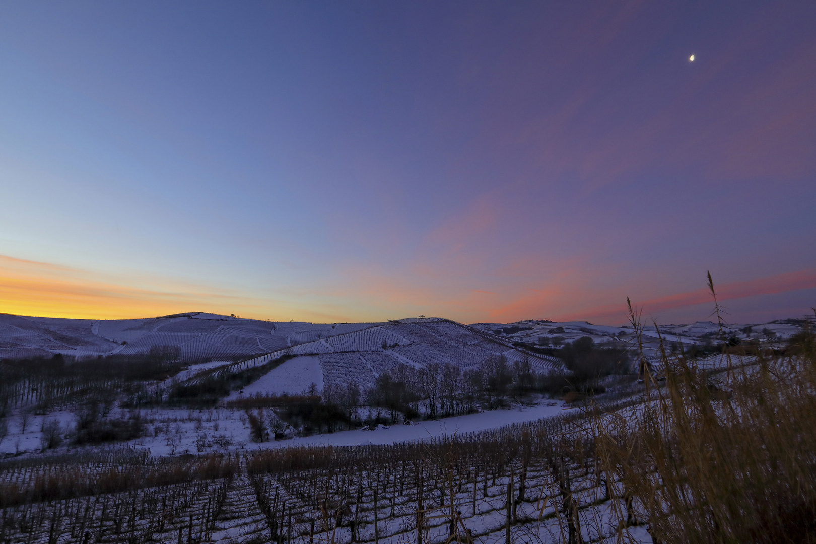  alba monferrina (2)