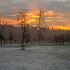 Alba nel parco del medio Olona