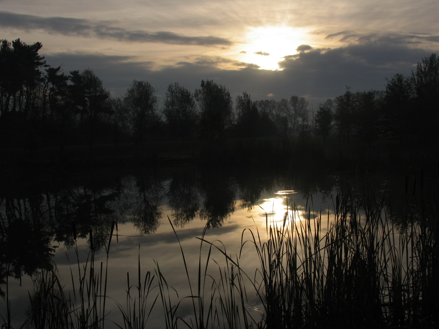 ALBA NEL PARCO GRUGNOTORTO CINISELLO