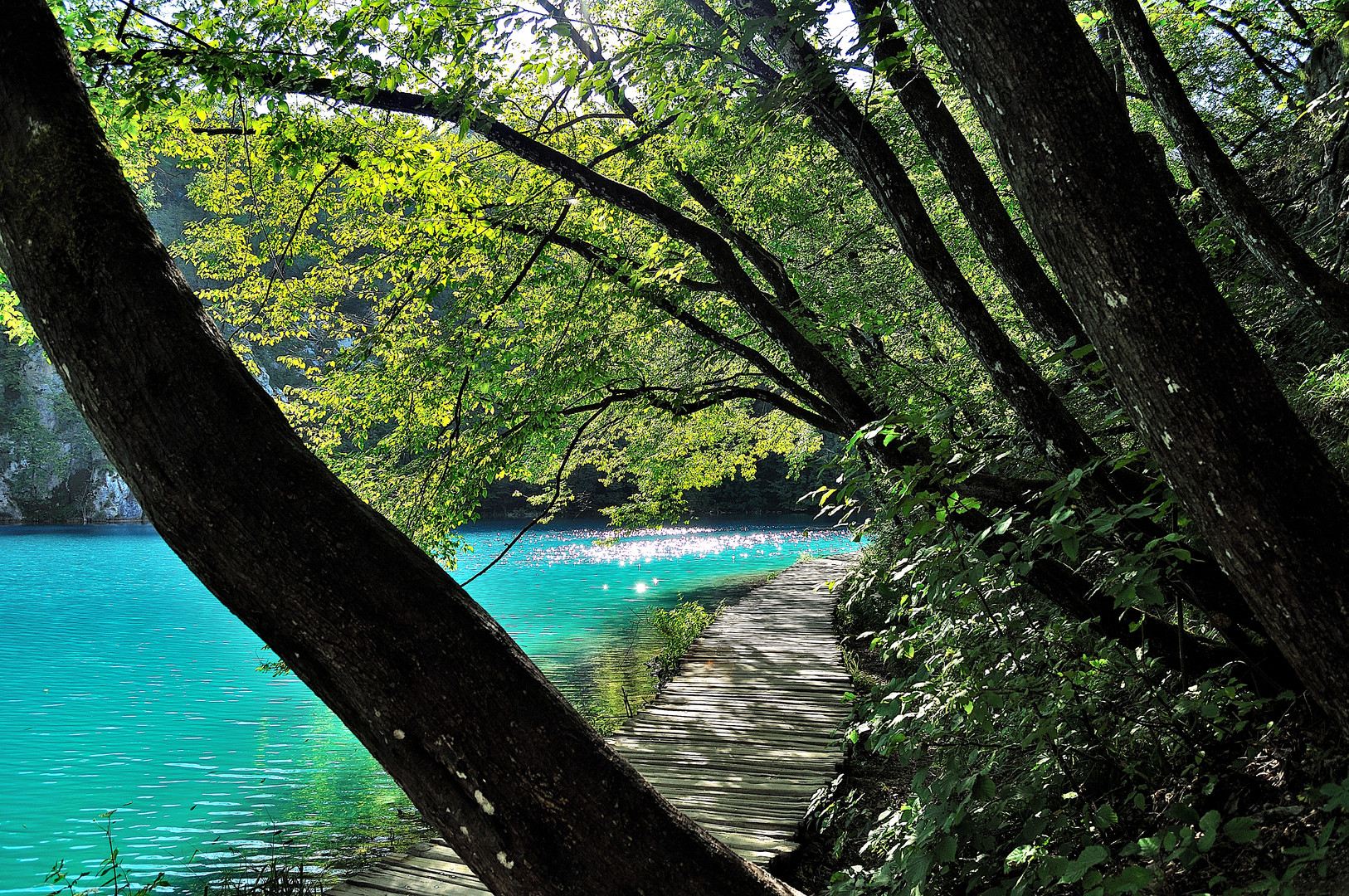 Alba sui laghi di Plitvice