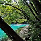 Alba sui laghi di Plitvice